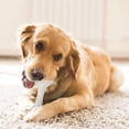 thumbnail image 4 of Dog Teeth Cleaning Dog Teeth Cleaning and Grinding Rod, Pet Dog Teeth Grinding Tool, High Durability, Dog Toy, Fixed Teeth Grinding Rod Teeth Cleaning Tools, 4 of 7