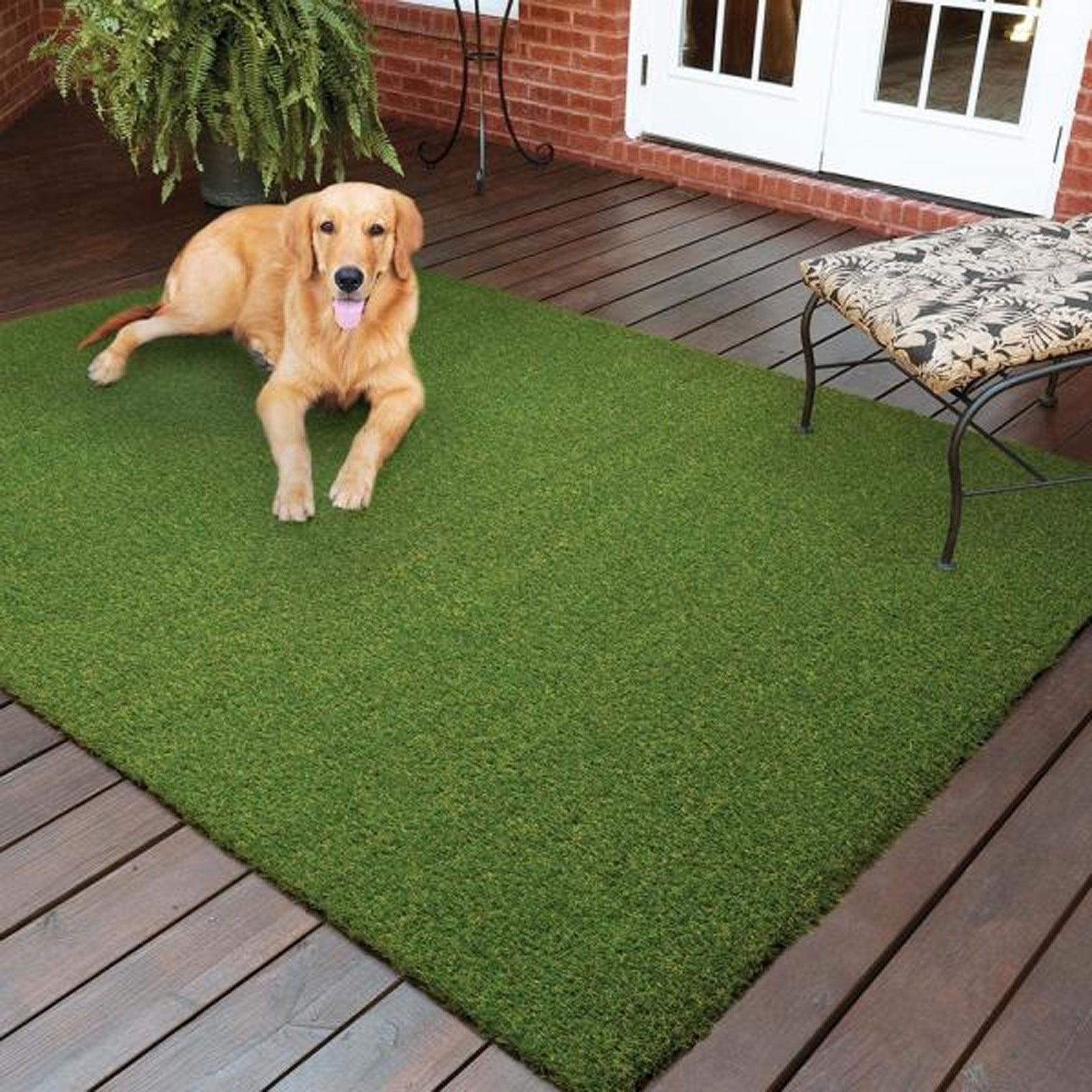 Home depot grass patch for cheap dogs