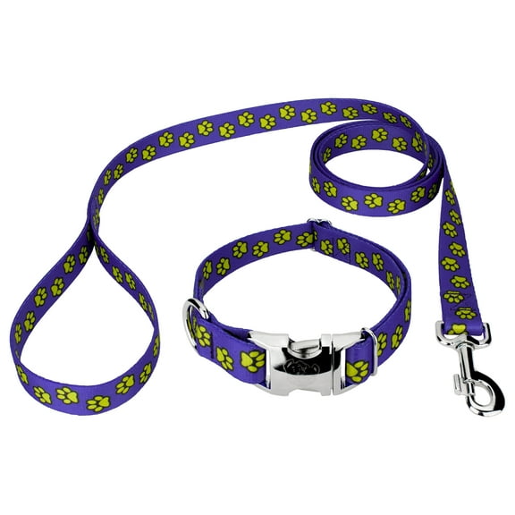 Country Brook Petz® Premium Blue Busy Paws Collar and Leash Limited Edition, Small