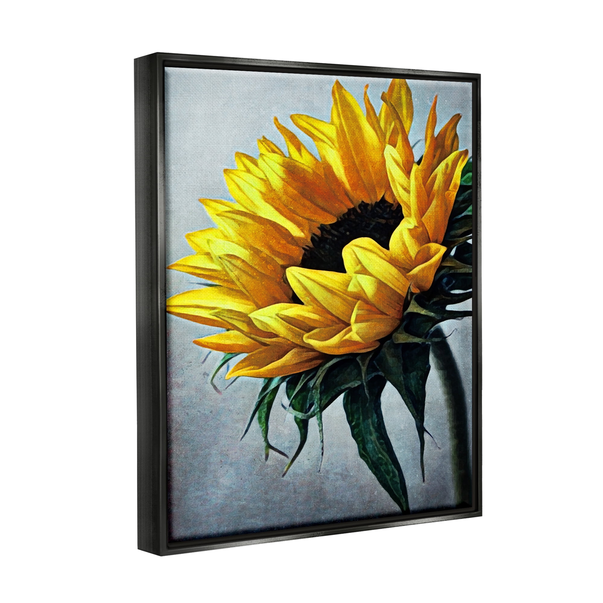 Stupell Yellow Sunflower Blossom Close Up Botanical & Floral Painting Black Floater Framed Art Print Wall Art