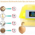 thumbnail image 3 of Incubadora de 48 Huevos HHD Eclosionador de Huevos con Giro Automático, 3 of 8