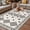 White, variant on Red Boho Outdoor Rug for Patio/Deck/Porch, Non-Slip Large Area Rug 5 x 8 Ft, Country Tribe Ethnic Geometric Stripes Art Indoor Outdoor Rugs Washable Area Rugs, Reversible Camping Rug Carpet Runner