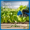 thumbnail image 4 of Roundup Weed and Grass Killer4 with Trigger Sprayer, 1 gal., 4 of 11