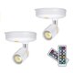 thumbnail image 1 of Leastyle Focos Inalámbricos Con Pilas, Luces Para Cuadros, Mini Luces Decorativas, Foco Led Regulable Para Interiores Con Control Remoto En Cualquier Lugar, Luz De Pared Giratoria (Paquete De 2), 1 of 1
