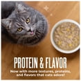 thumbnail image 6 of Tiki Cat Friends Chicken, Pumpkin & Lamb, 2.5 oz. Can, 6 of 9