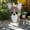 D, variant on Giyblacko Flower Pots 1PCS Garden Flower Pot Dog Poodle Chihuahua Animal Planters Flower Pot Dog Planter Storage Containers Dog Planters Garden Pet Dog Storage Pots Decorative Ornaments Animal Shaped