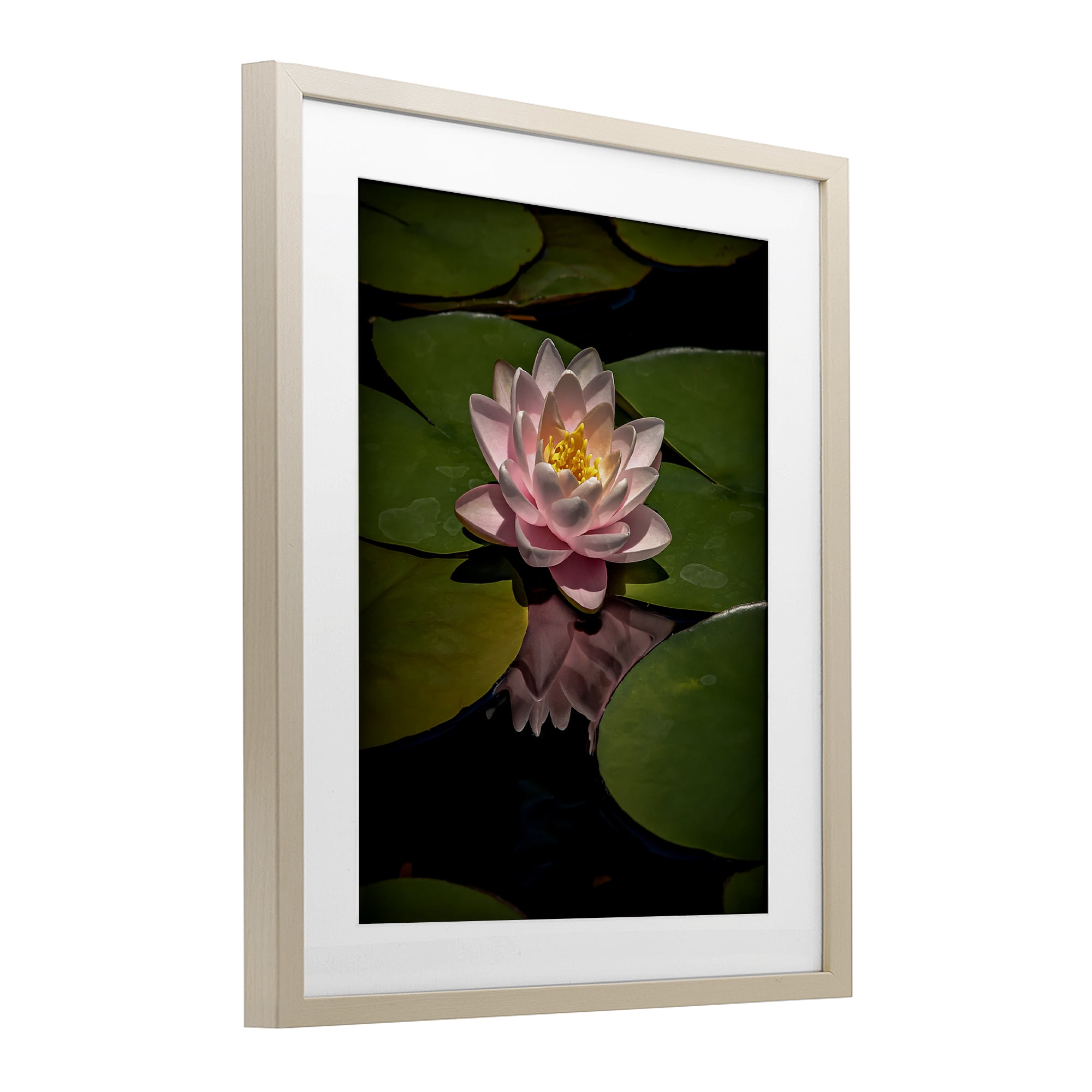 Pink Lotus Among Lily Pads Birch Framed Print Under Glass, design by Phillip Flowers