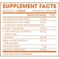 thumbnail image 6 of Brain Booster - Natural Cognitive Enhancer for Increased Focus, Memory and Mental Clarity | Nootropics Brain Supplement | DMAE, Rhodiola Rosea Extract, Bacopa Monnieri, Ginkgo Biloba, 6 of 9