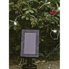 Solar Festival Light