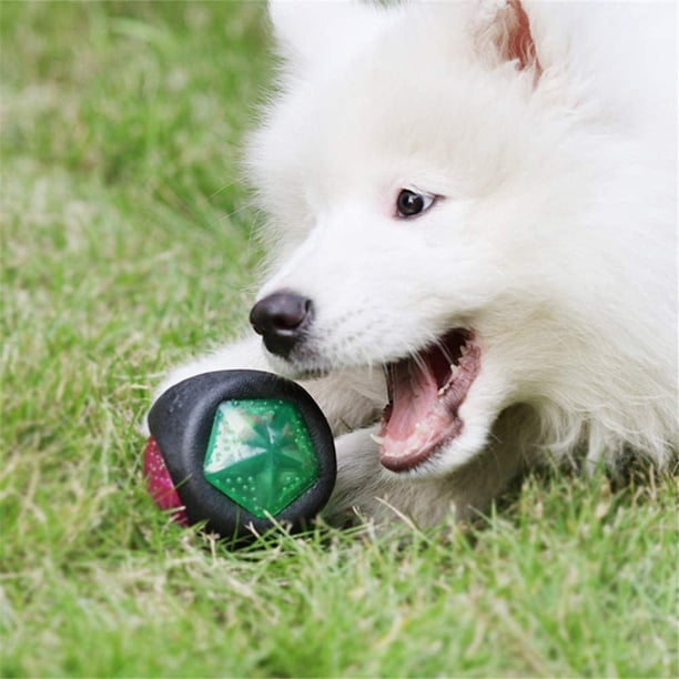 Pelota resistente a las mordeduras de cachorro, pelota de goma para perro, pelota de goma para perro, juguete para el cuidado dental, valor excepcional
