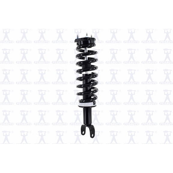 Suspension Strut and Coil Spring Assembly