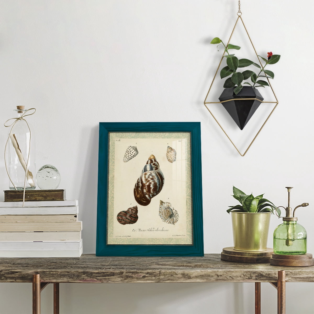 Bookplate Shells VII - Framed Print w/glass - Ocean Blue