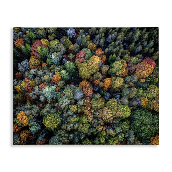 Stupell Industries Aerial View Autumnal Foliage Landscape & Nature Photography Wrapped Canvas Art Print Wall Art, 20 x 16