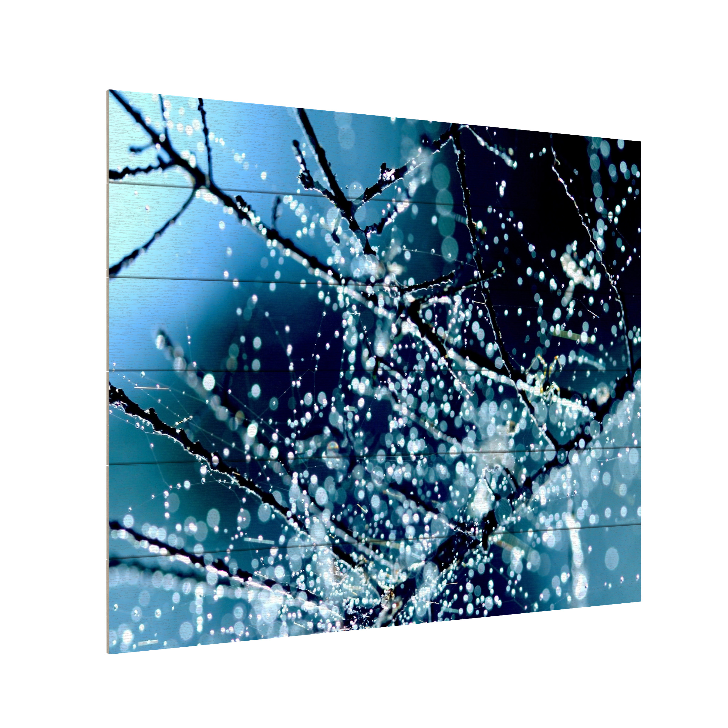 Trademark Fine Art 'Blue Rhapsody' Wooden Wall Art Art by Beata Czyzowska Young