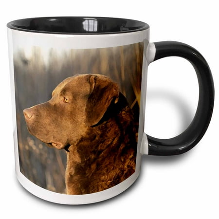 

3dRose Chesapeake Bay Retriver Portrait - Two Tone Black Mug 11-ounce