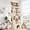 Beige, variant on Globlazer 74 Inch Cat Tree for Large Cats, Heavy Duty Cat Tree Tower for Multi-Cat Household, 2 Condos, 2 Hammocks, Sisal Scratching Posts, Sturdy Multi-Level Activity Center, F74G, Dark Grey