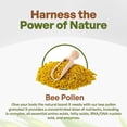 thumbnail image 6 of Bee Pollen Granules Pure | Fresh Harvest, Natural Superfood, Raw Sweet Flavor | Rich in B Vitamins, Minerals, Protein, & Antioxidants | Keto, Non-GMO (8 oz.), 6 of 7
