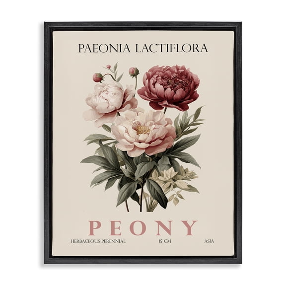 Stupell Industries Natural Peony Bundle Black Framed Floater Canvas Wall Art, design by Christopher Giampietro