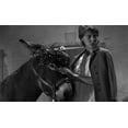 thumbnail image 3 of Au Hasard Balthazar (Criterion Collection) (Blu-ray), Criterion Collection, Drama, 3 of 3