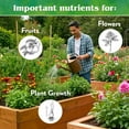 thumbnail image 5 of Down To Earth Acid Mix 4-3-6 Organic Plant Food, 40 lb Bag, 5 of 7