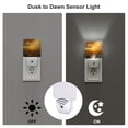 thumbnail image 3 of Cauagu Sunflower Sunset Rainfall Print LED Nightlight,0.5W Night Lights Plug into Wall 1 Pack with Dusk-to-Dawn Light Sensor Soft Glow Lamp for Bathroom Adult Hallway-US, 3 of 7