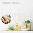 AURARMLET Porous Rattan Reed Sticks for Diffusers, Natural Replacement ...