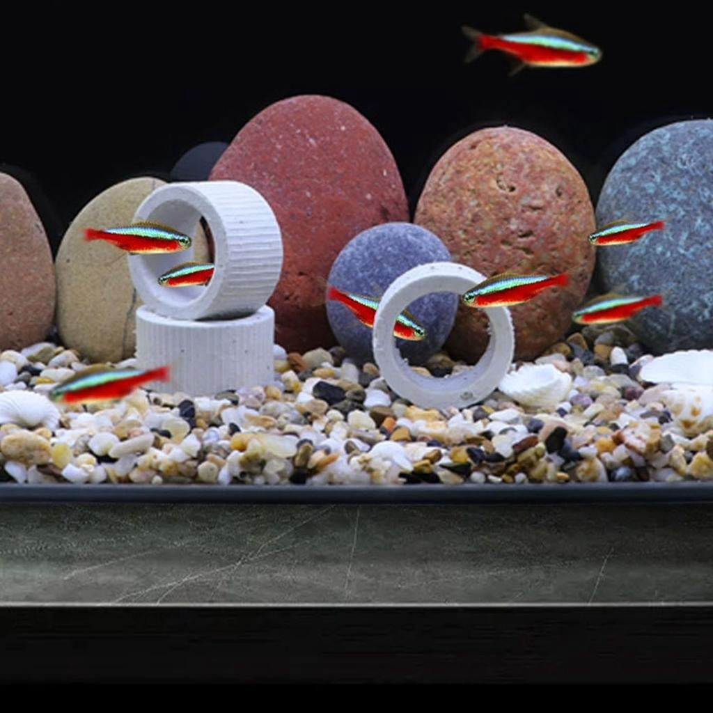 10Pcs Water Plant Weights Ceramic Aquarium Plant Fixed Rings Aquarium Decoration Accessories for Freshwater Saltwater