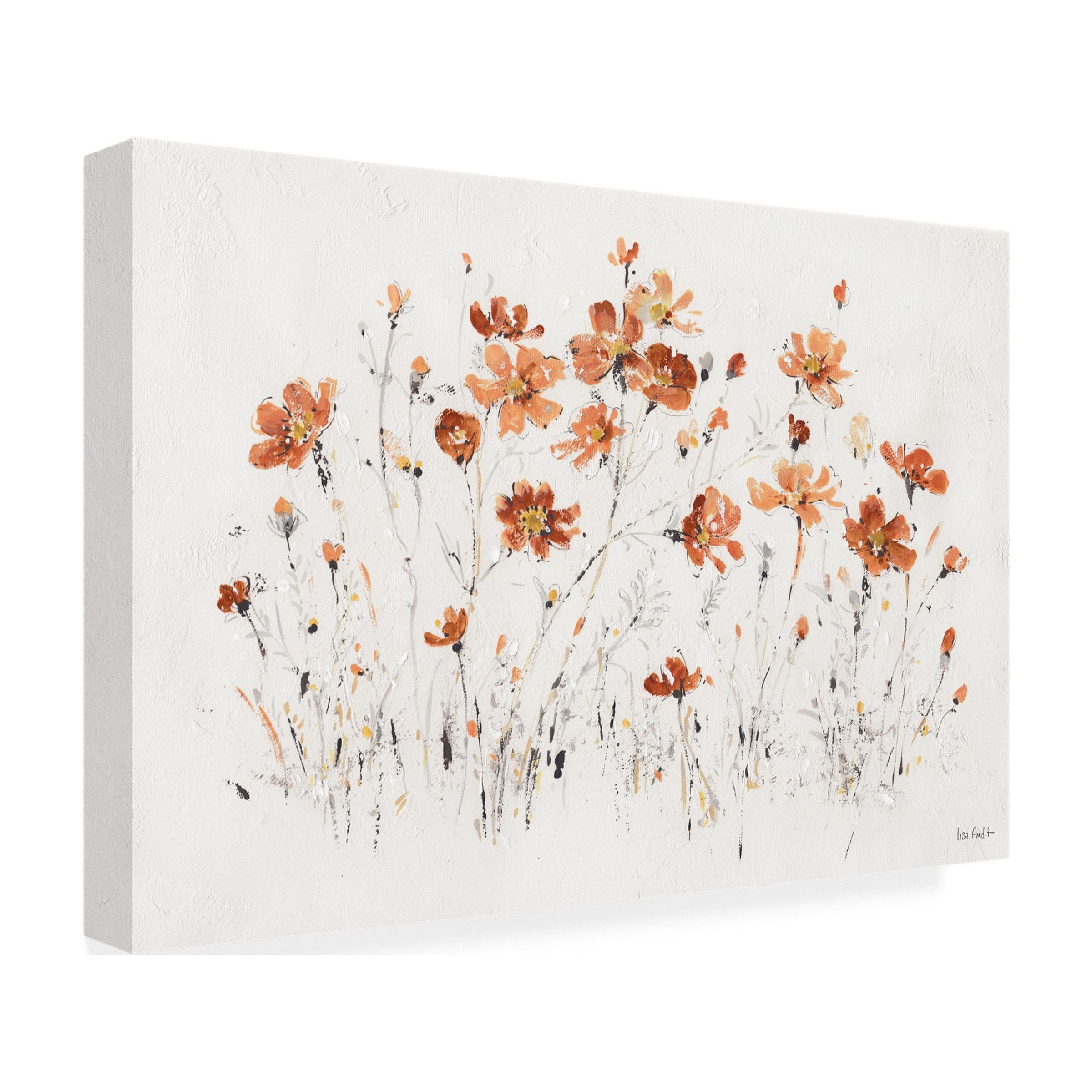Trademark Fine Art 'Wildflowers I Orange' Canvas Art by Lisa Audit