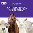 thumbnail image 3 of PRN Pharmacal Endosorb Diarrhea Supplement Bolus for Horses, Cattle, Sheep, and Other Ruminant Animals, 50 Count Bottle, 3 of 7
