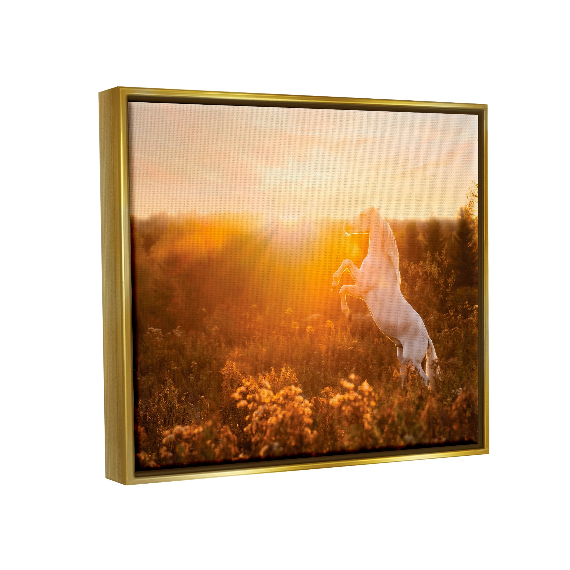 Stupell Industries Standing Horse in Rising Sun Landscape Photography Gold Floater Framed Canvas Art Print Wall Art, 31 x 25