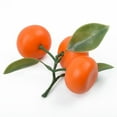 thumbnail image 1 of MYG Lifelike Artificial Oranges Fruit Kitchen Restaurant Display Food Decor Props, 1 of 9