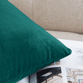 thumbnail image 3 of StangH Teal Velvet Throw Pillow Covers Super Soft Home Decoration for Couch Living Room, Solid Decorative Rectangle Lumbar Cushion Cases for Balcony/Bed/Car, 12x20 inches, Set of 2, 3 of 7