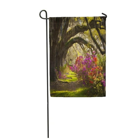 - KDAGR Charleston Sc Plantation Live Oak Trees Spanish Moss Azalea Garden Flag Decorative Flag House Banner 12x18 inch