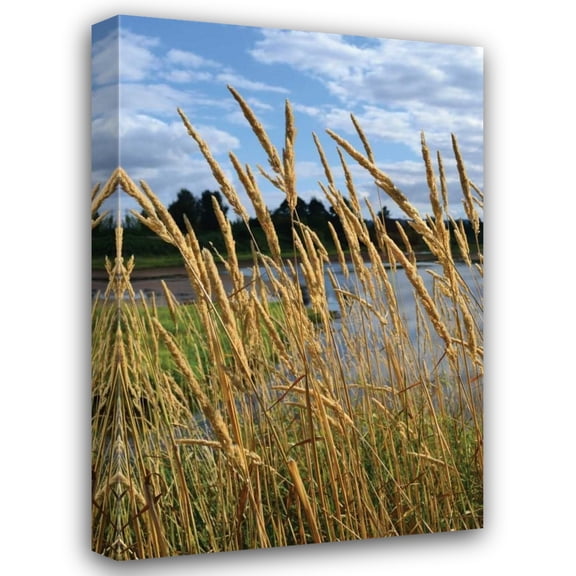 Brian Moore 13x18 Gallery Wrapped Canvas Wall Art Titled - Through the Grass II