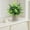 Multicolor A, variant on EWASWON Small Artificial Potted Plant, Realistic Fake Plant for Home Office Desk Decor, Maintenance-Free Faux Potted Greenery, Green Tabletop Centerpiece