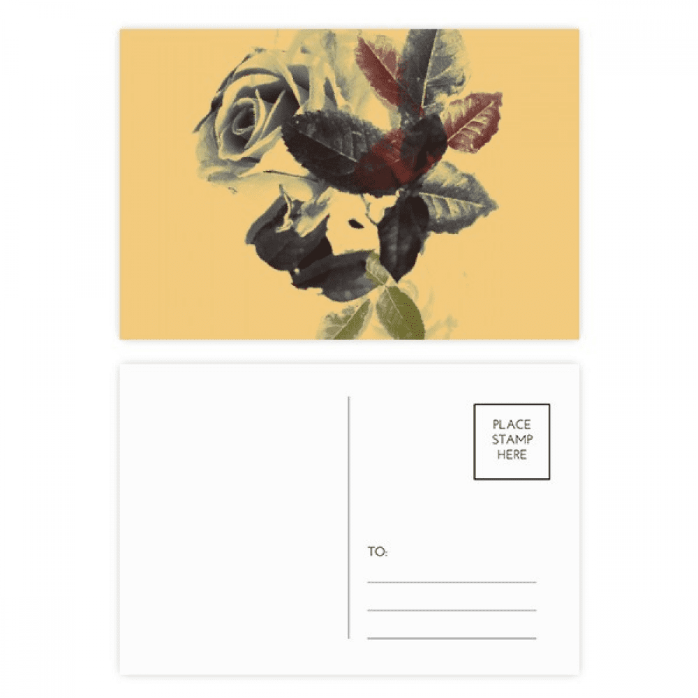 water color flower rose postcard set birthday mailing thanks greeting card