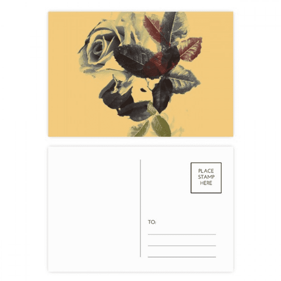 water color flower rose postcard set birthday mailing thanks greeting card