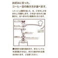 thumbnail image 4 of Kalita Coffee mill Hand grind KH-3AM 42188 #42188, 4 of 5