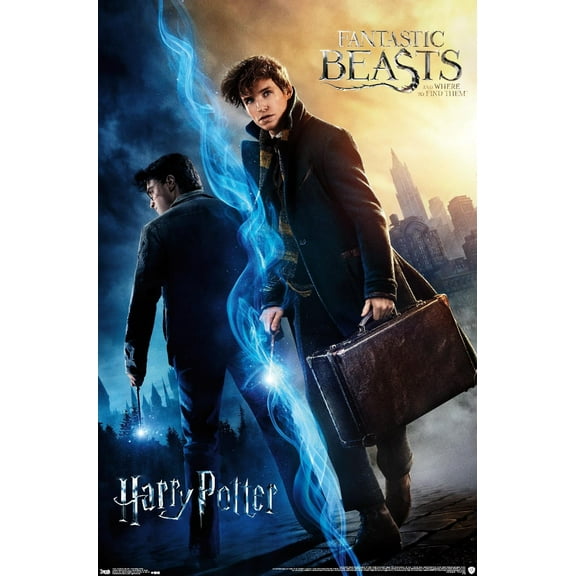 The Wizarding World: Harry Potter and Fantastic Beasts Wall Poster, 22.375" x 34"