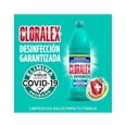 thumbnail image 2 of Pack de 30 Blanqueador Cloralex Regular de 250 ml Cloralex Regular, 2 of 3