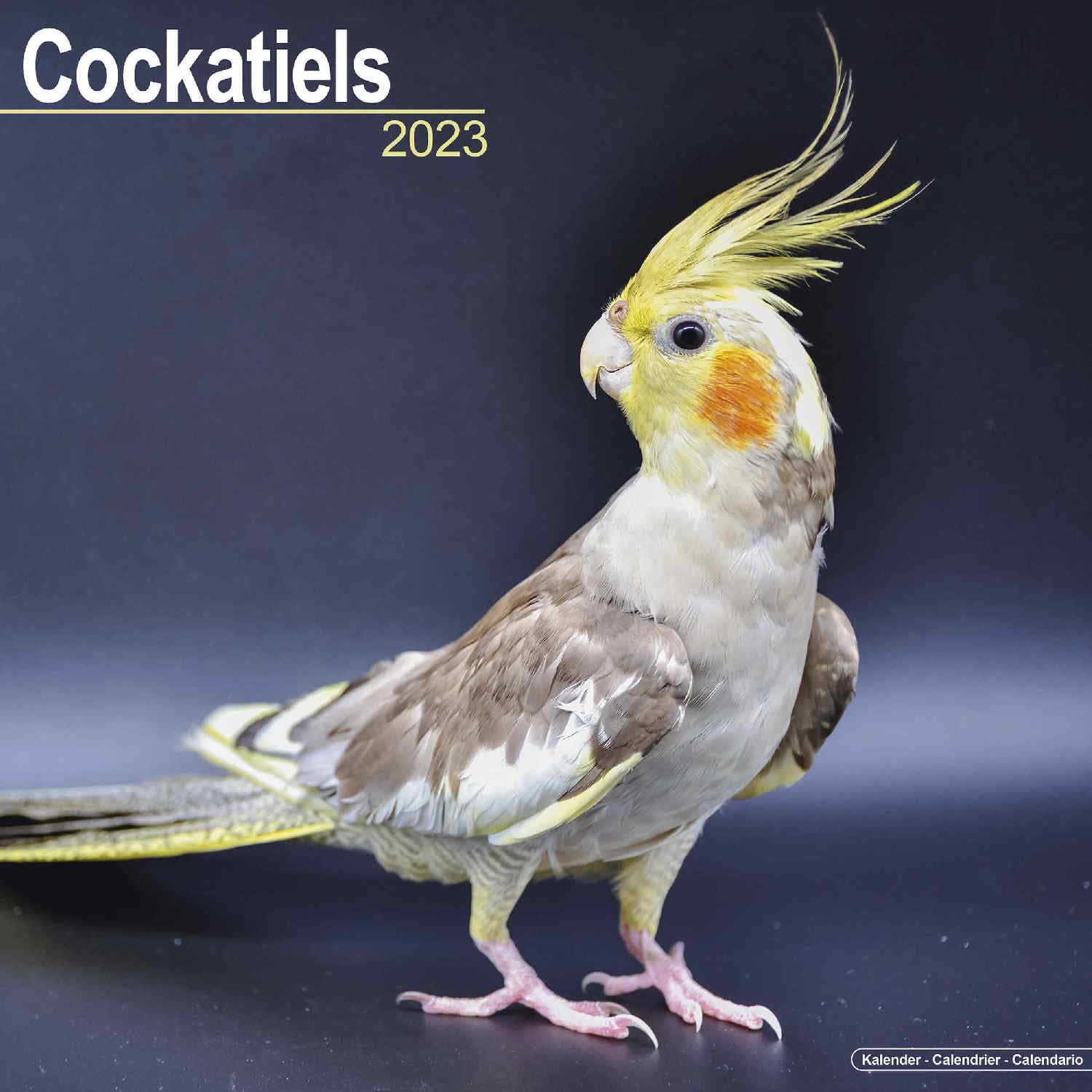 MegaCalendars - Cockatiels Wall Calendar 2022