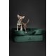 thumbnail image 5 of Cama para perros NOAH & PAW, 71 x 58 x 28 cm, gel refrescante ortopédico, 5 of 8