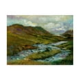 thumbnail image 1 of Trademark Fine Art 'Ring Of Kerry, Ireland 2' Canvas Art by Hall Groat Ii, 1 of 3