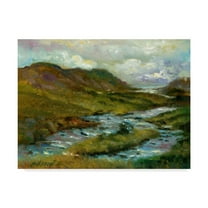 Trademark Fine Art 'Ring Of Kerry, Ireland 2' Canvas Art by Hall Groat Ii