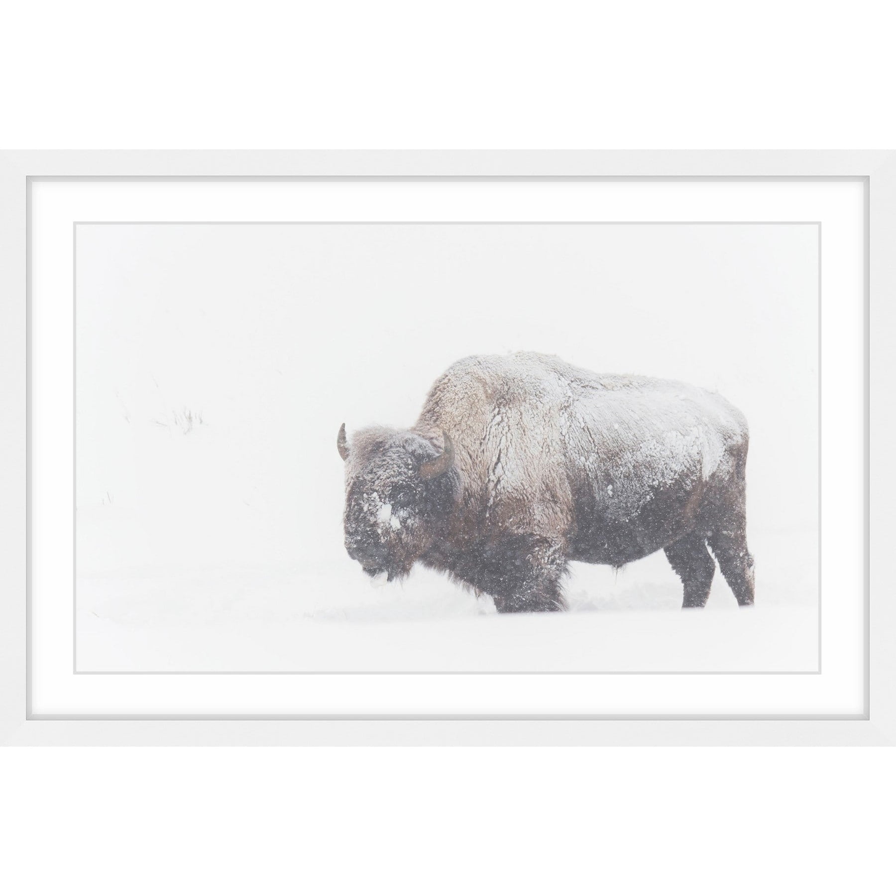 Marmont Hill "Icy Fur" Framed Painting Print