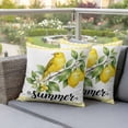thumbnail image 3 of Pack of 2 Summer Lemon Outdoor Pillow Covers Decorative, Waterproof Pillow Protector, Farmhouse Fruits Birds Leaves Plants Yellow Plaid Throw Pillowcases Accent Cushion Cases for Patio Couch 24"x24", 3 of 8