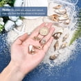 thumbnail image 3 of 1 caja de 16 piezas de 4 estilos de conchas marinas en espiral galvanizadas, dijes artesanales, conectores, colgantes, dijes de conchas marinas con aro dorado chapado, 3 of 9