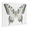 thumbnail image 2 of Stupell Industries Contemporary Blue Brown Accent Butterfly Canvas Art, 30 x 24, by Danhui Nai, 2 of 7