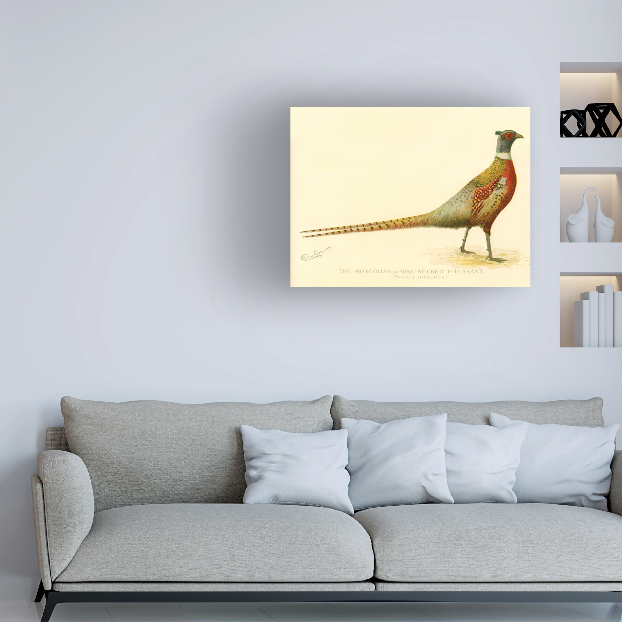 Trademark Fine Art Print Collection The Mongolian or Ring Necked Pheasant Canvas Wall Art - 35x47