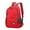 Red, variant on HBBKVI 17" Travel Laptop Backpack,Anti Theft Slim Durable Bookbag,Business Backpacks for Men Women,Water Resistant Carry on School Backpack Fits 14-17 Inch Laptop and Notebook